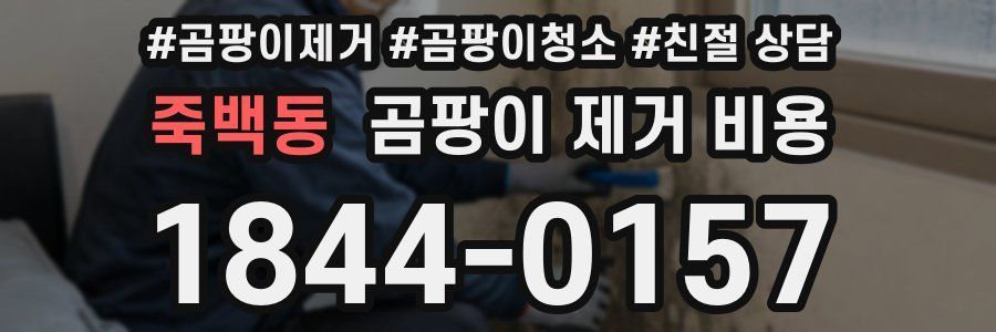 죽백동 곰팡이 제거 비용