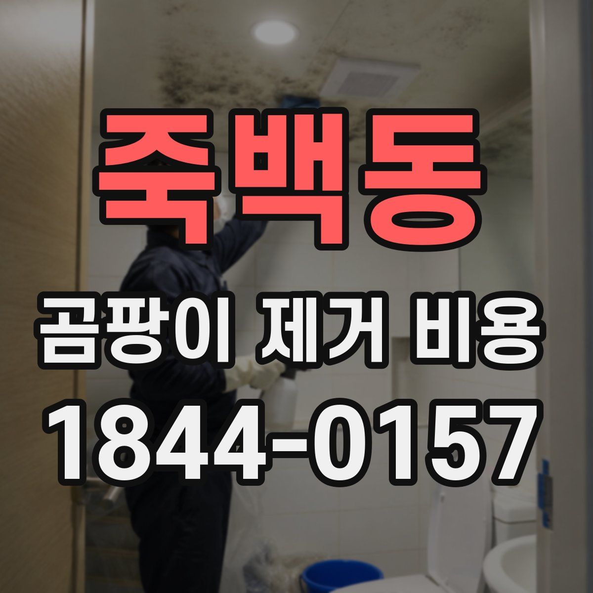 죽백동 곰팡이 제거 비용