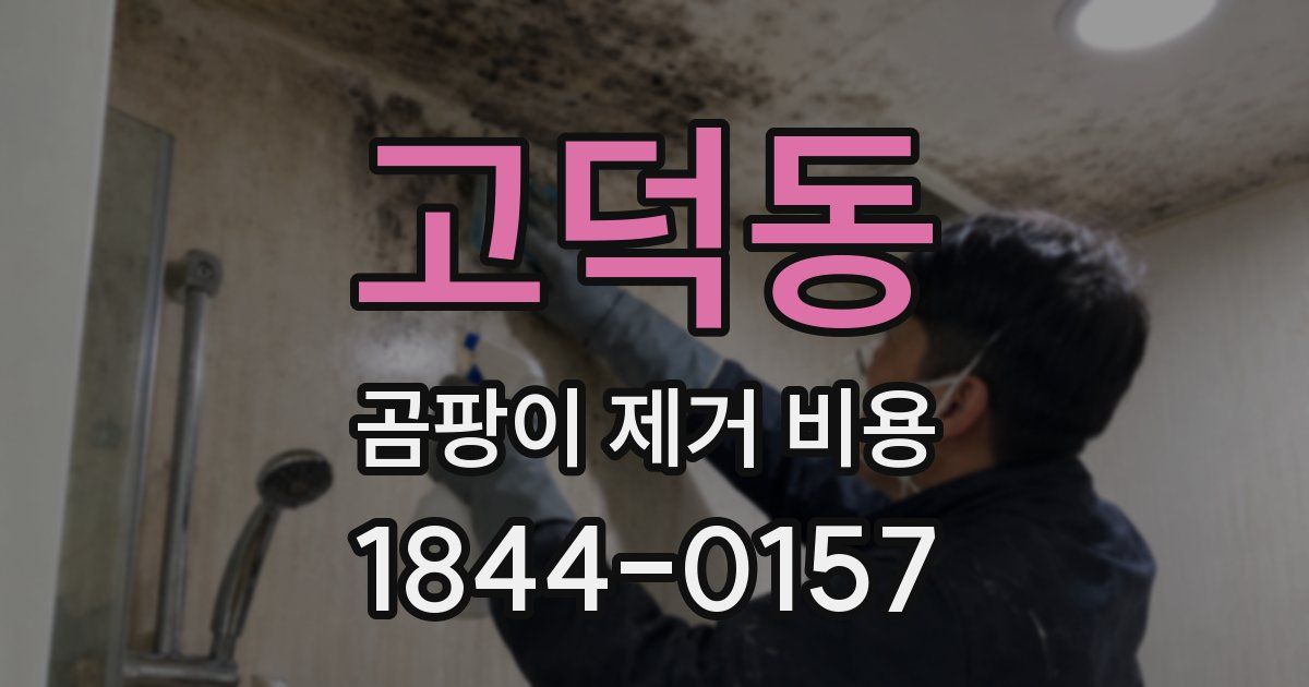 고덕동 곰팡이 제거 비용
