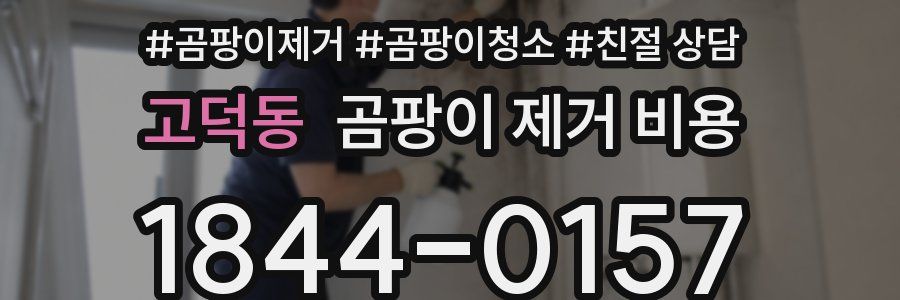 고덕동 곰팡이 제거 비용