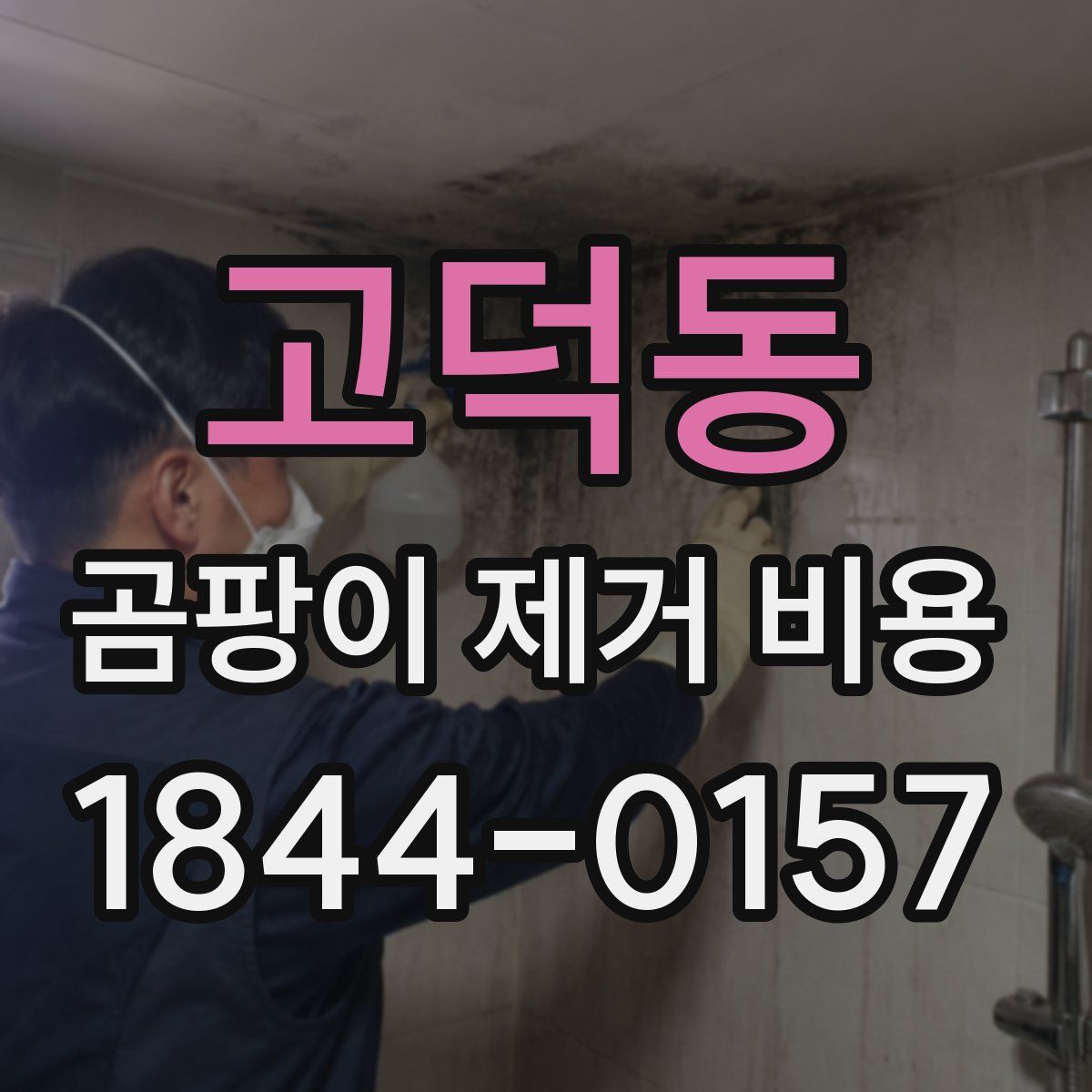 고덕동 곰팡이 제거 비용