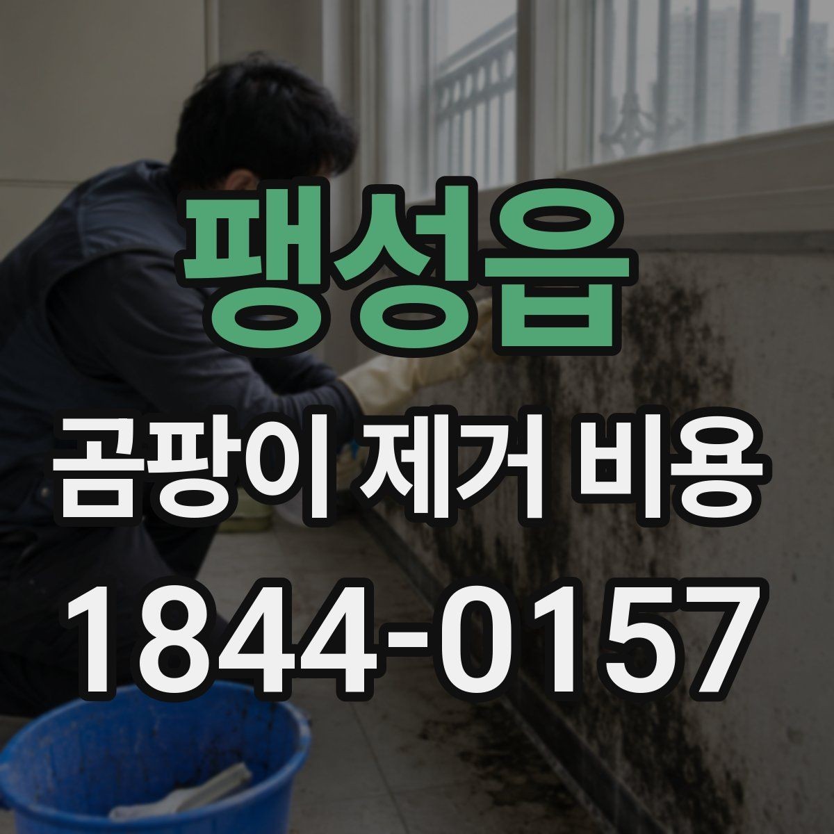 팽성읍 곰팡이 제거 비용 상담 후 일정 잡는 방법