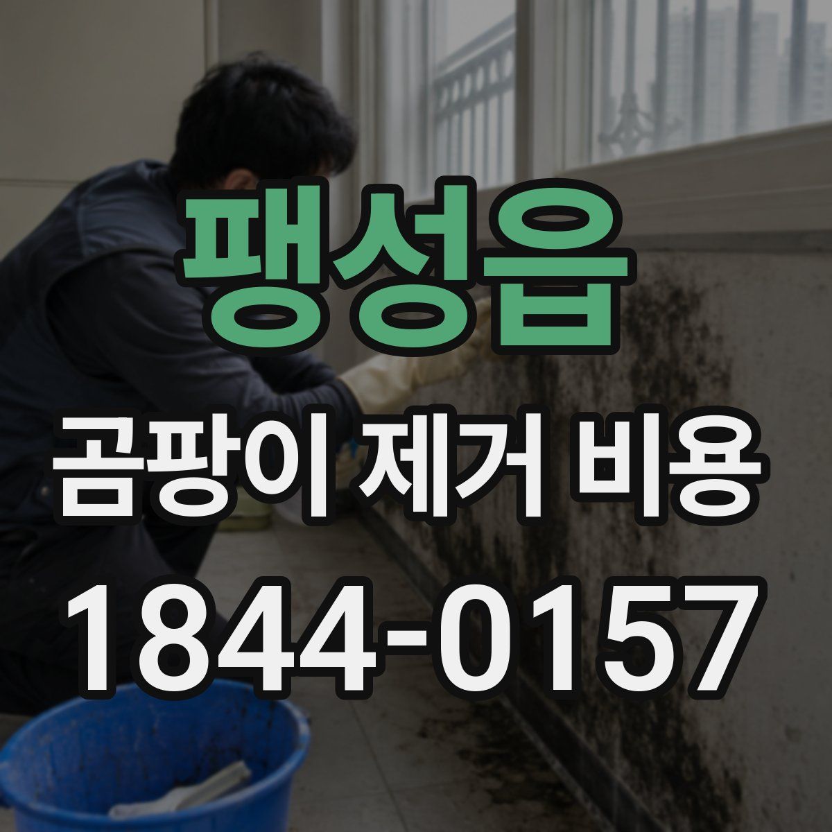 팽성읍 곰팡이 제거 비용