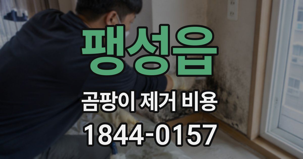 팽성읍 곰팡이 제거 비용