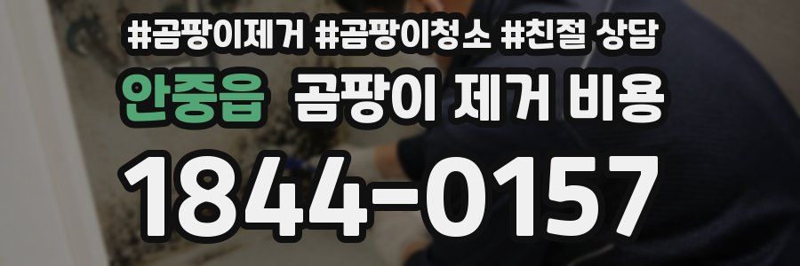 안중읍 곰팡이 제거 비용
