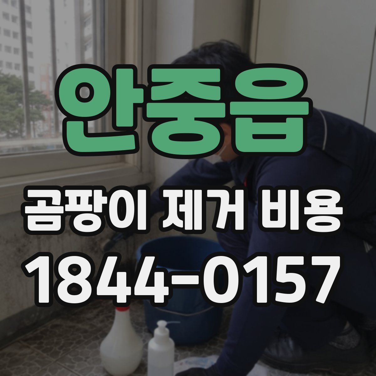 안중읍 곰팡이 제거 비용