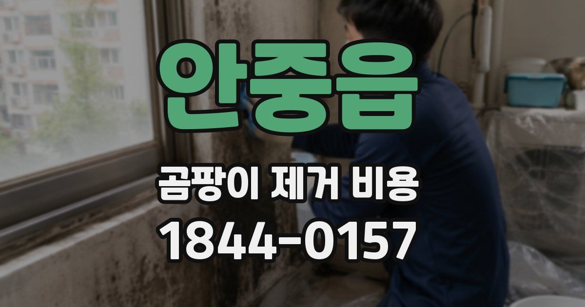 안중읍 곰팡이 제거 비용