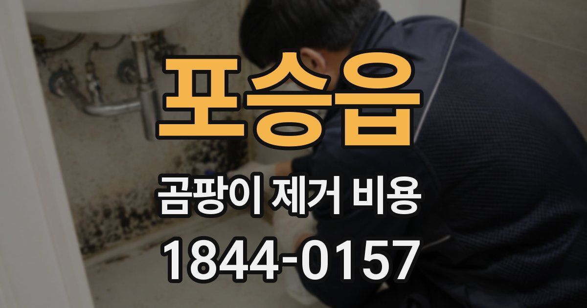 포승읍 곰팡이 제거 비용