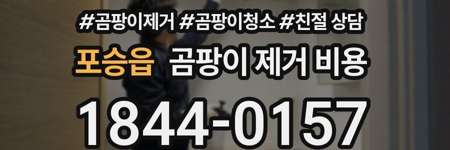 포승읍 곰팡이 제거 비용