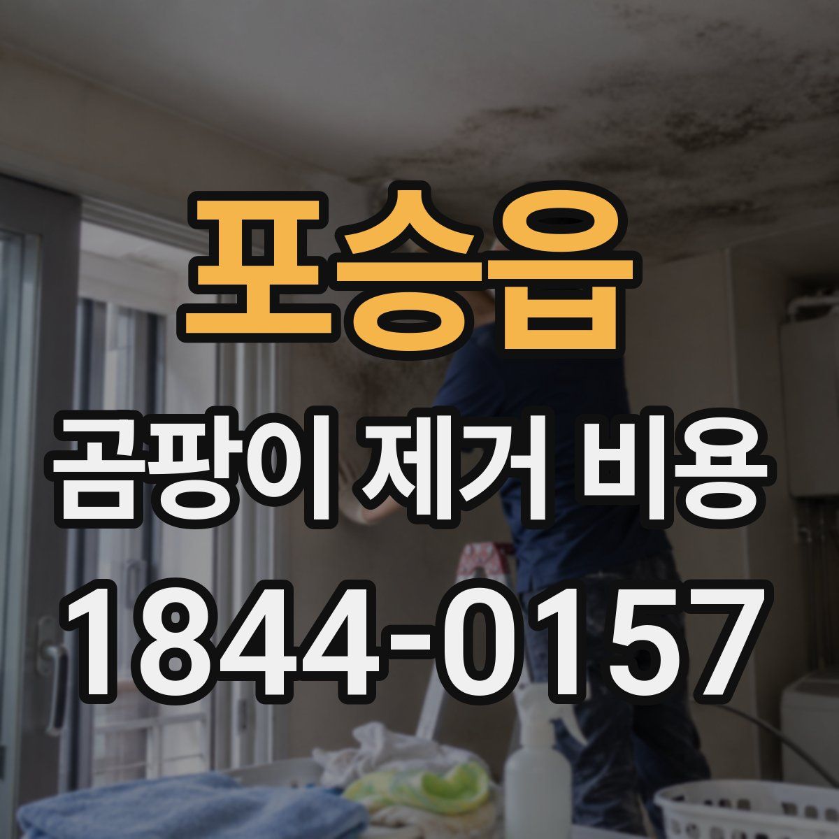 포승읍 곰팡이 제거 비용