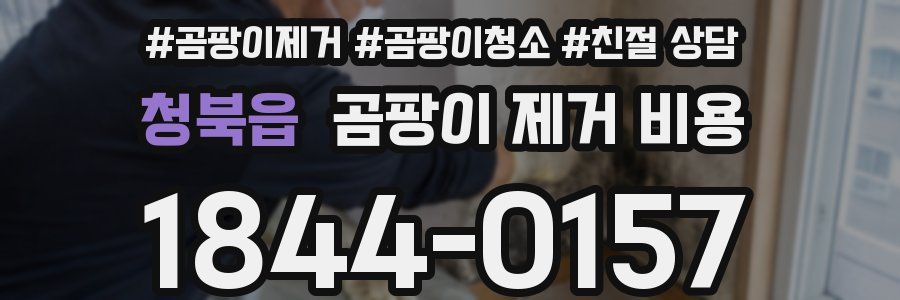 청북읍 곰팡이 제거 비용