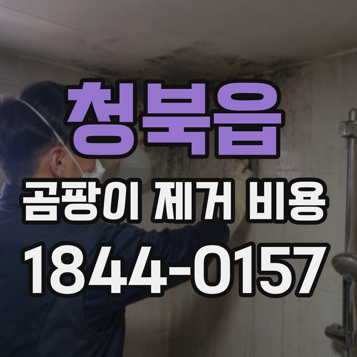 청북읍 곰팡이 제거 비용