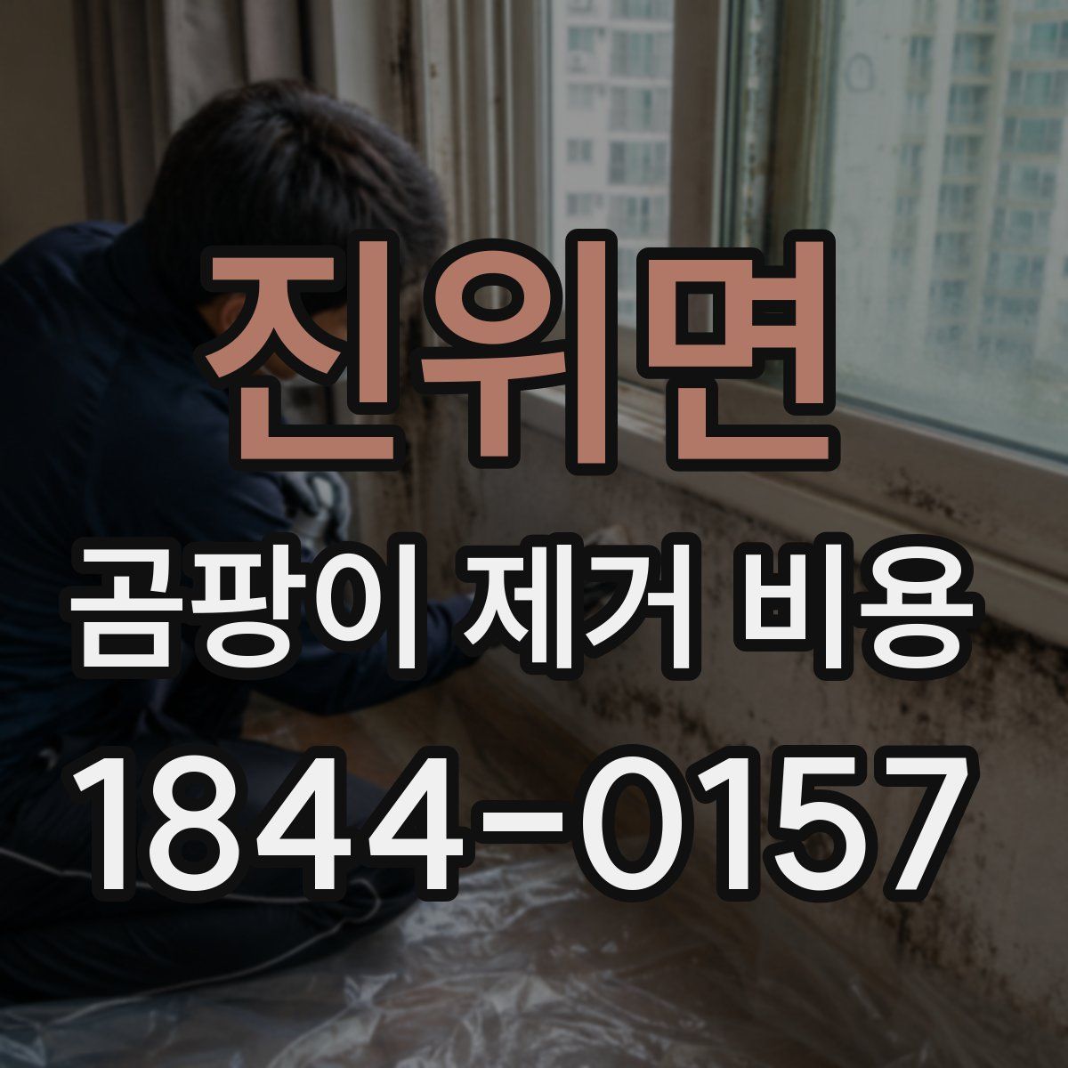 진위면 곰팡이 제거 비용