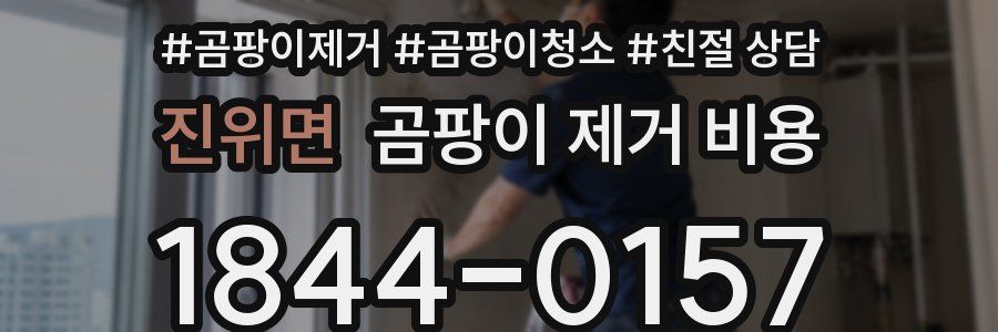 진위면 곰팡이 제거 비용
