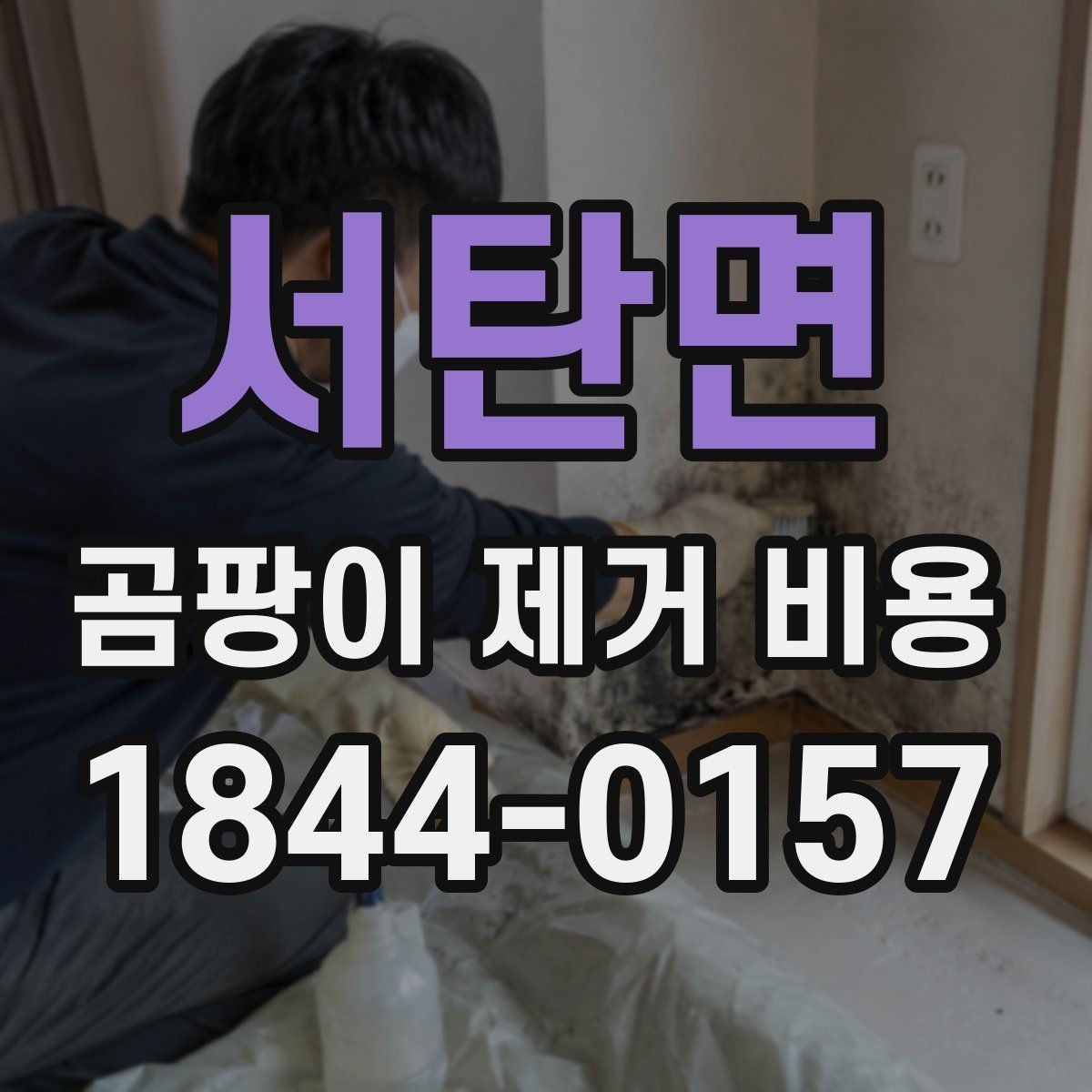서탄면 곰팡이 제거 비용 단순 청소와 전문 제거의 차이
