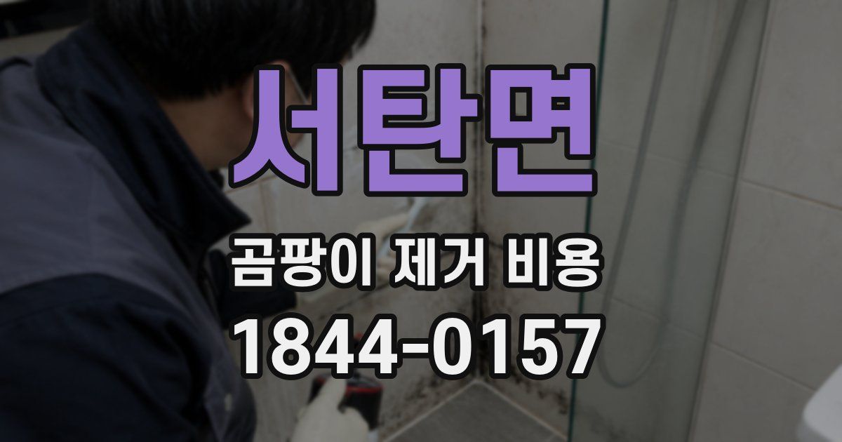 서탄면 곰팡이 제거 비용