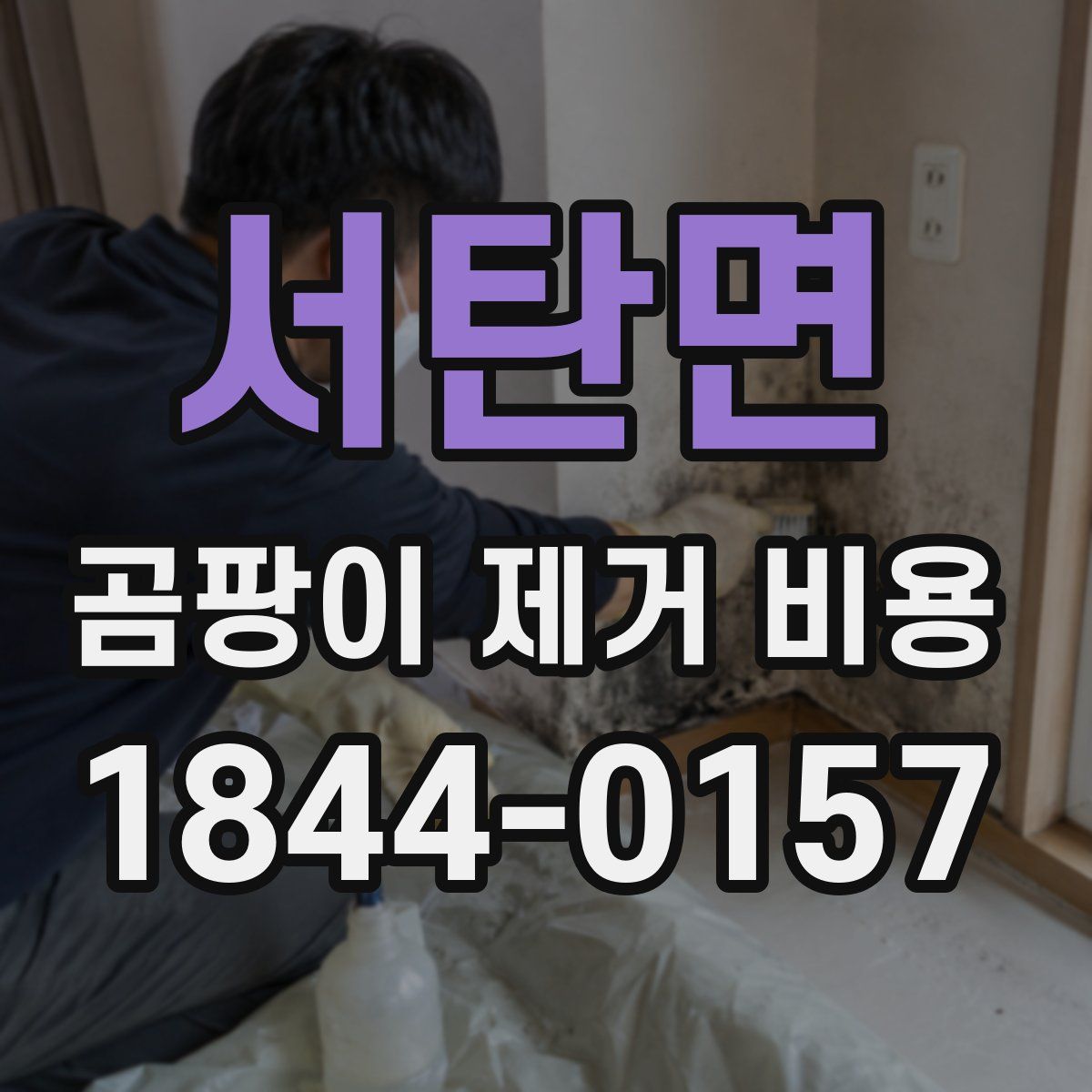 서탄면 곰팡이 제거 비용