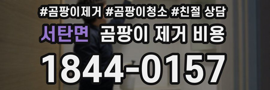 서탄면 곰팡이 제거 비용