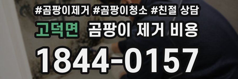 고덕면 곰팡이 제거 비용