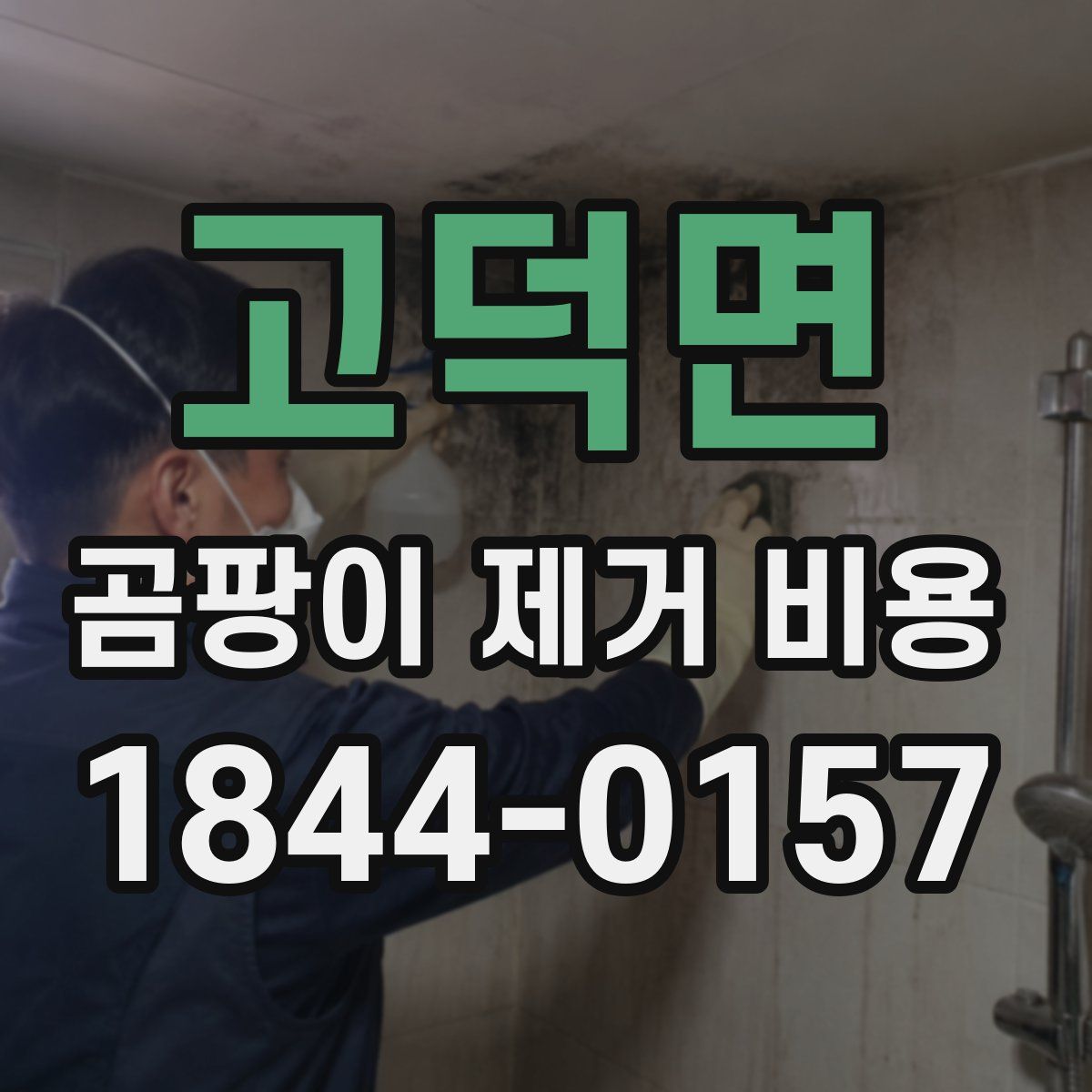 고덕면 곰팡이 제거 비용