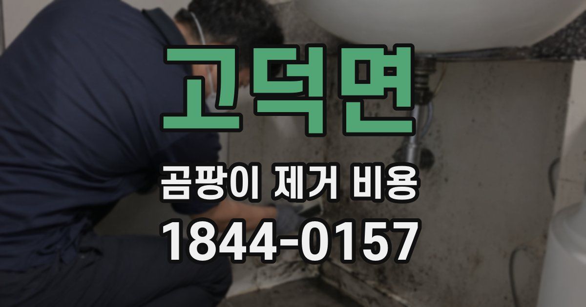 고덕면 곰팡이 제거 비용