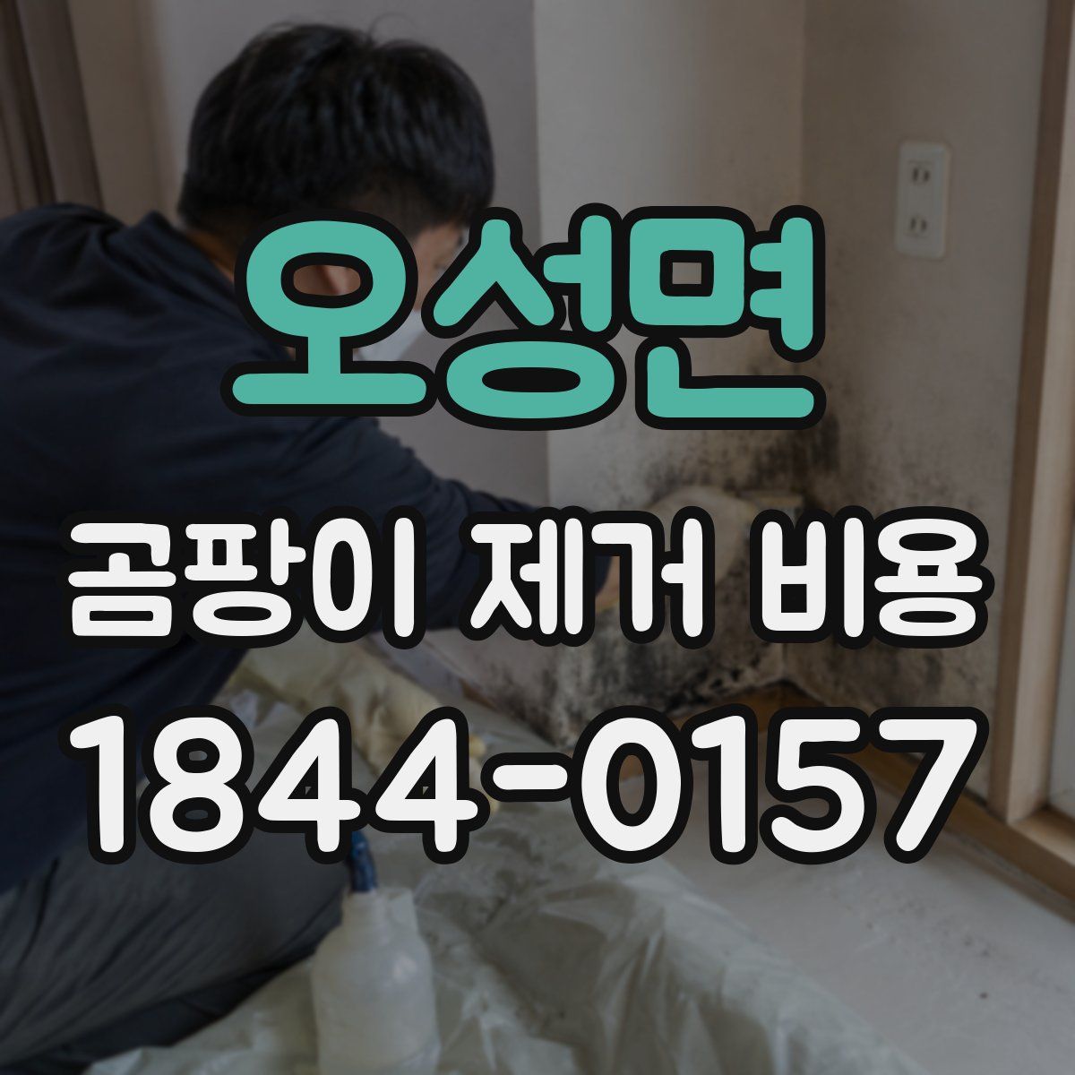 오성면 곰팡이 제거 비용