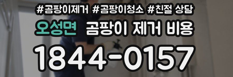 오성면 곰팡이 제거 비용