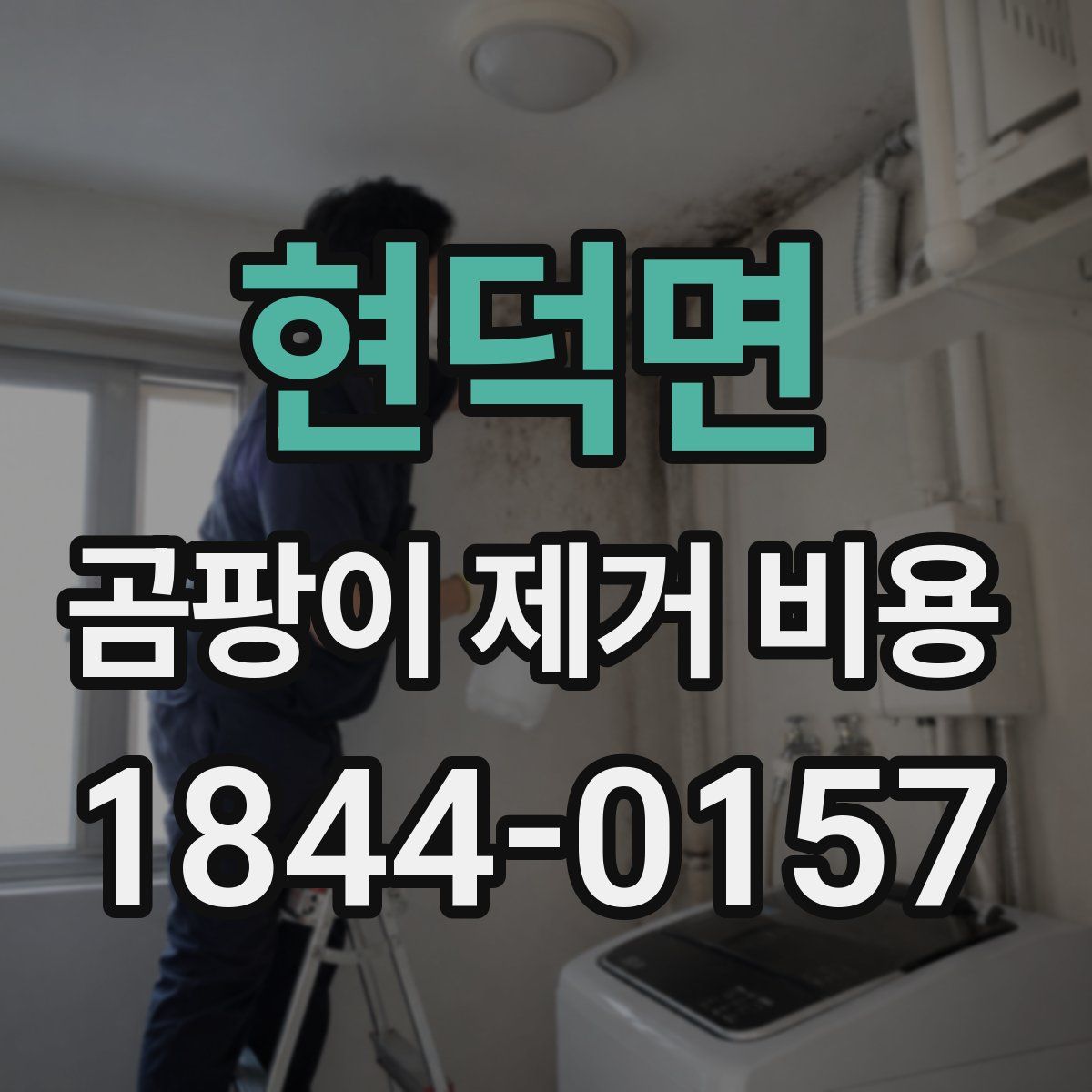 현덕면 곰팡이 제거 비용