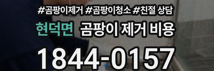 현덕면 곰팡이 제거 비용