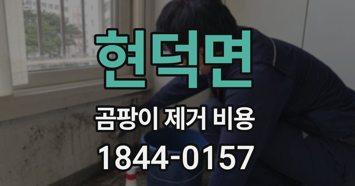 현덕면 곰팡이 제거 비용