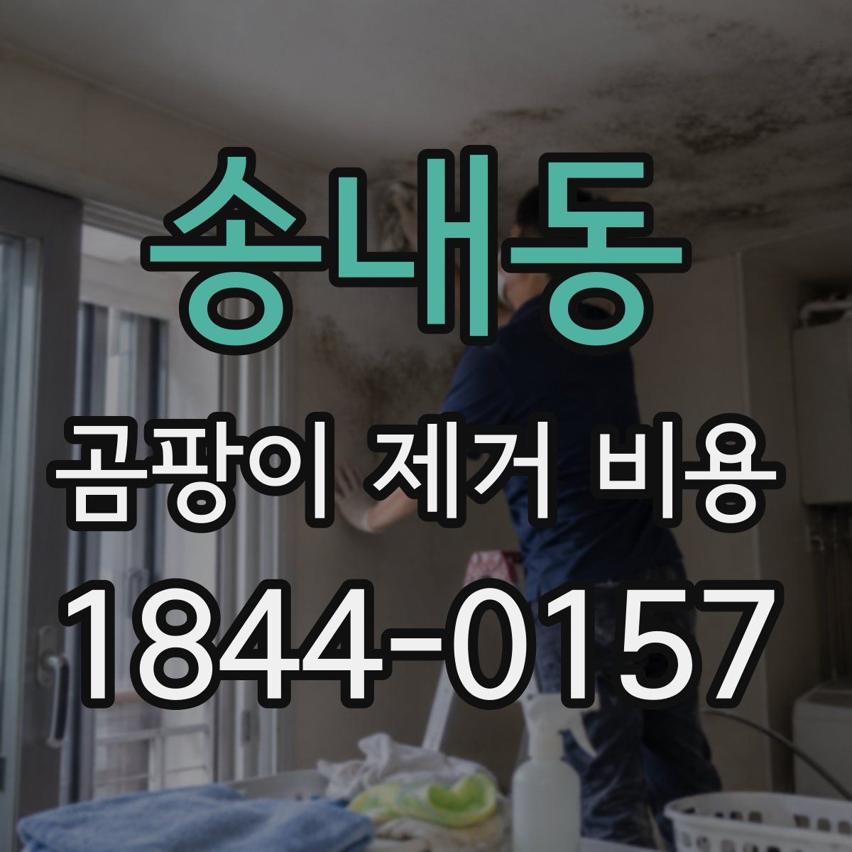 송내동 곰팡이 제거 비용