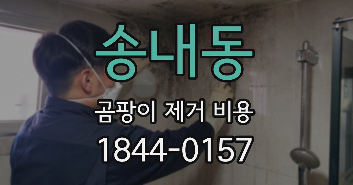 송내동 곰팡이 제거 비용