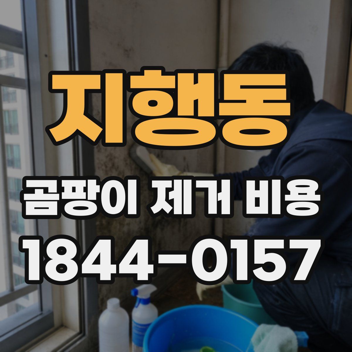 지행동 곰팡이 제거 비용