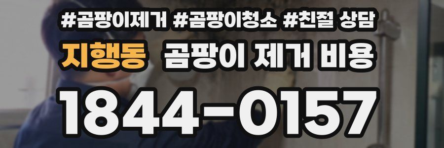지행동 곰팡이 제거 비용