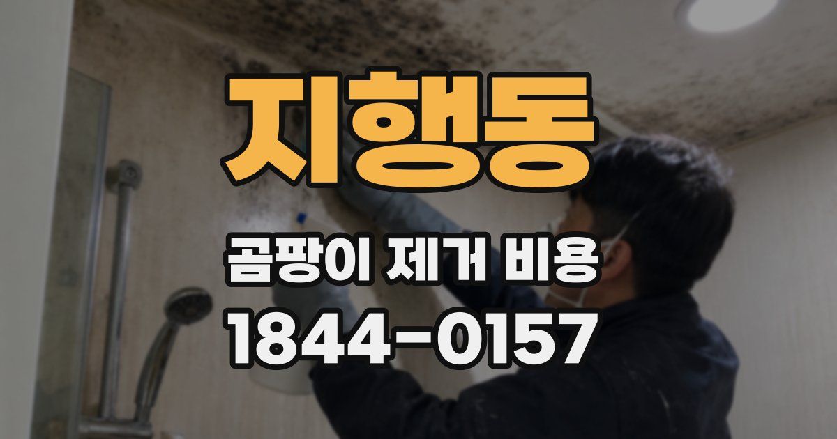 지행동 곰팡이 제거 비용