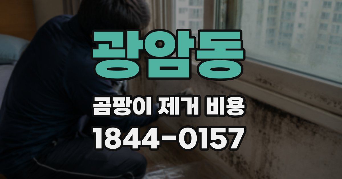 광암동 곰팡이 제거 비용