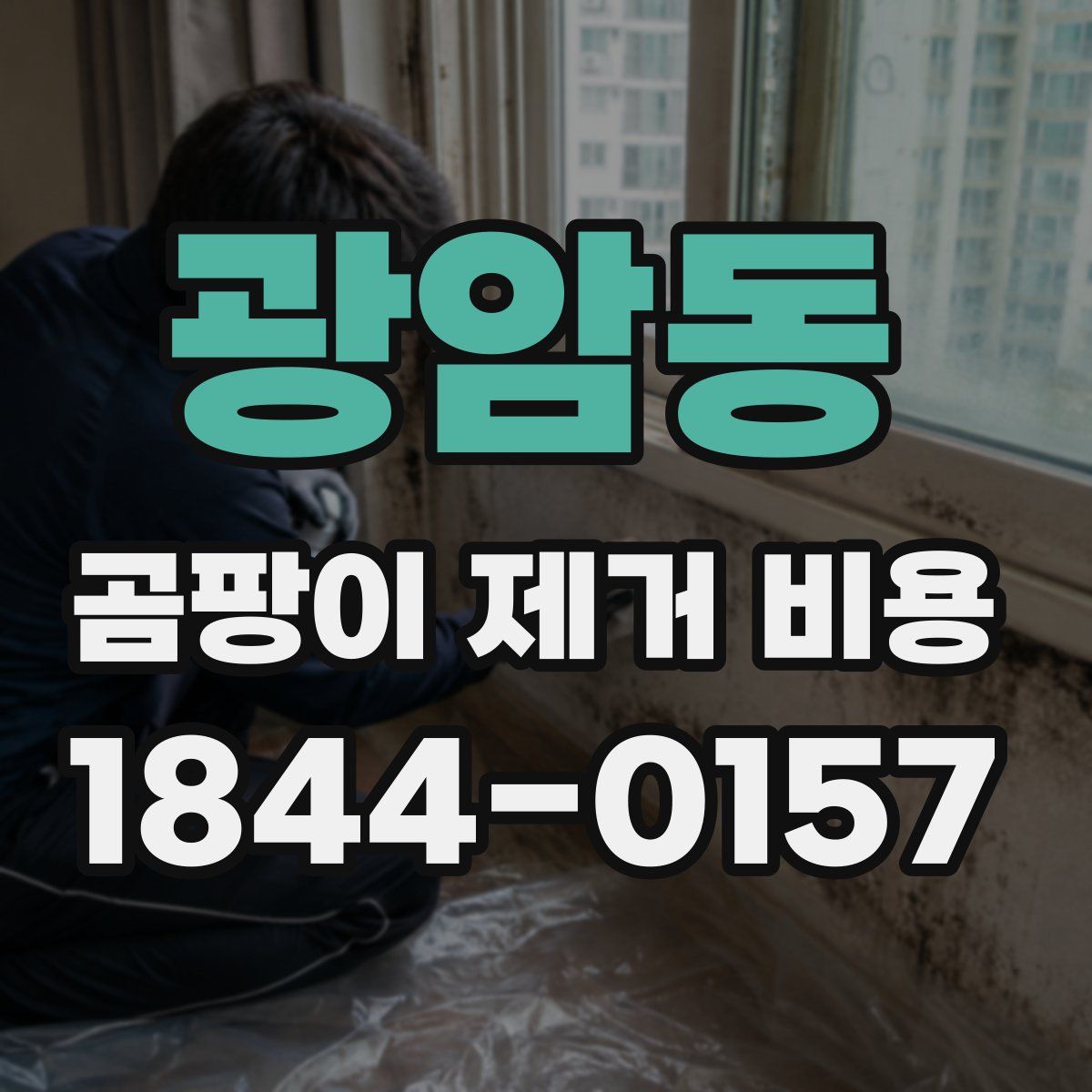 광암동 곰팡이 제거 비용