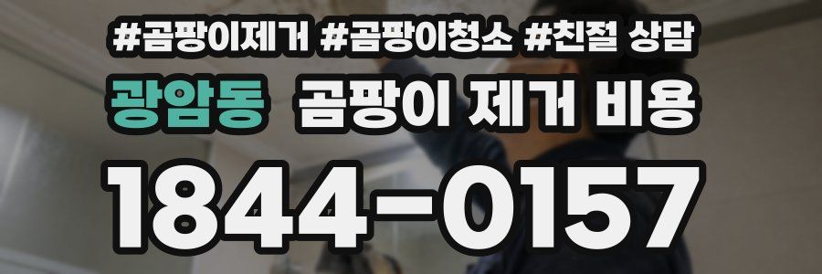 광암동 곰팡이 제거 비용