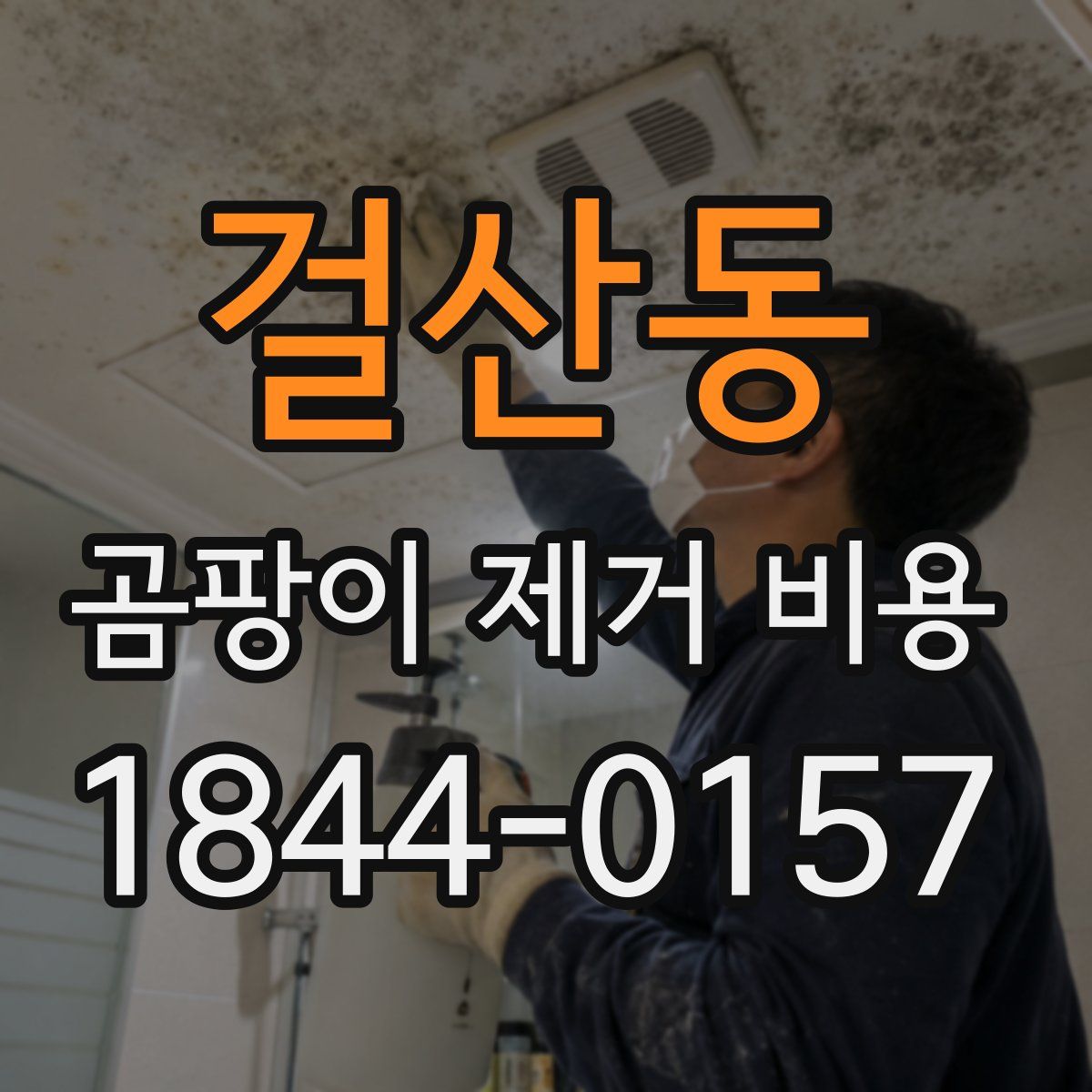 걸산동 곰팡이 제거 비용