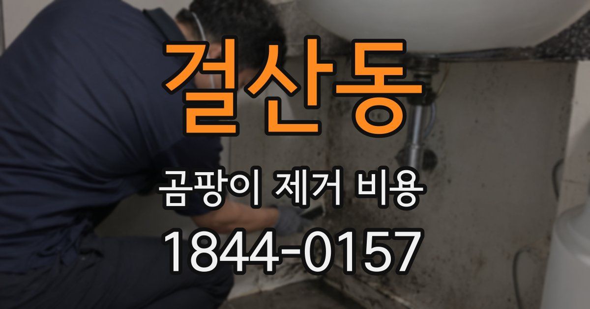 걸산동 곰팡이 제거 비용
