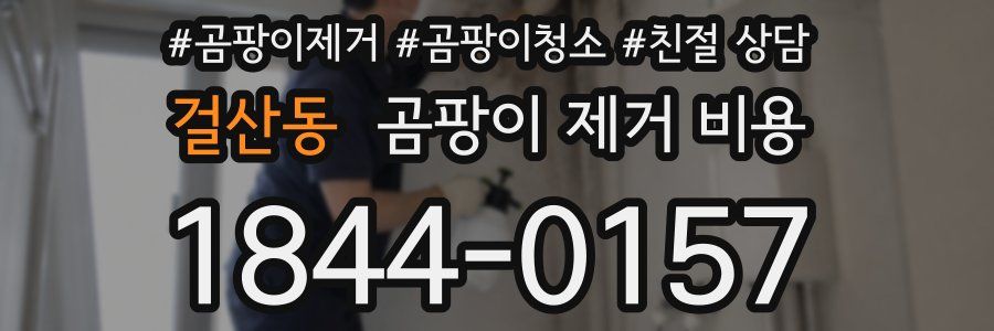 걸산동 곰팡이 제거 비용