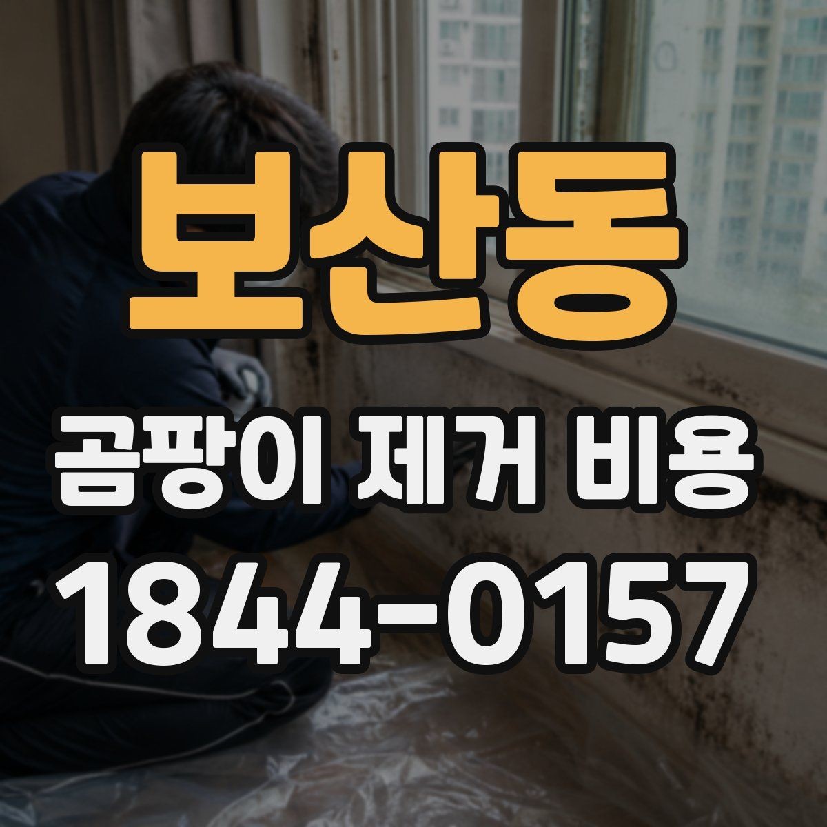 보산동 곰팡이 제거 비용 산정에 영향을 주는 곰팡이 종류