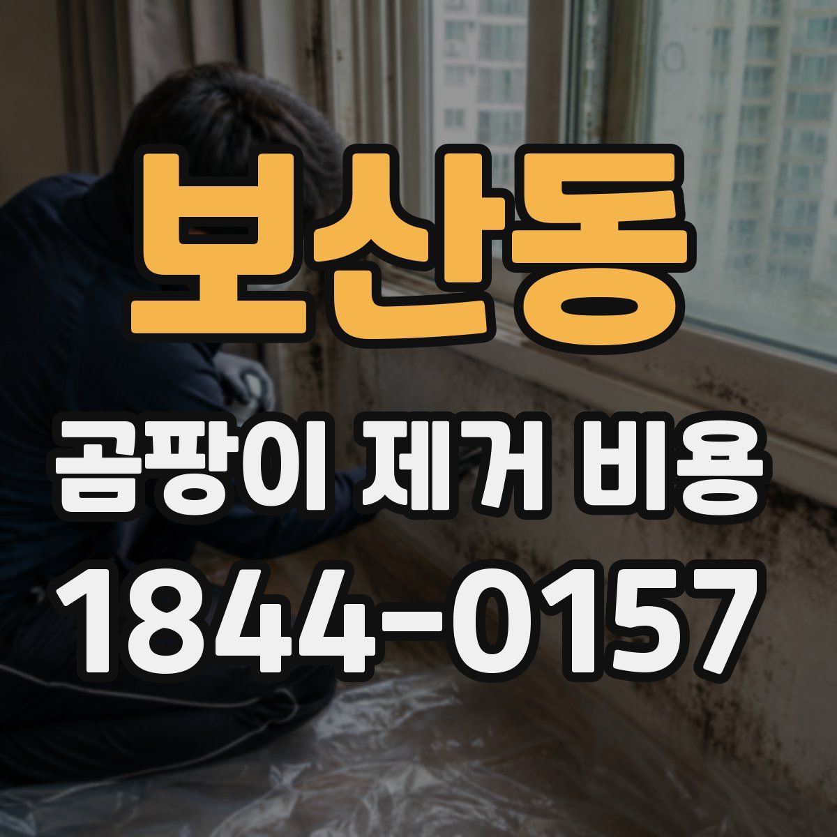 보산동 곰팡이 제거 비용
