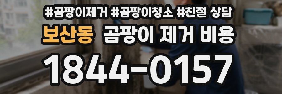 보산동 곰팡이 제거 비용