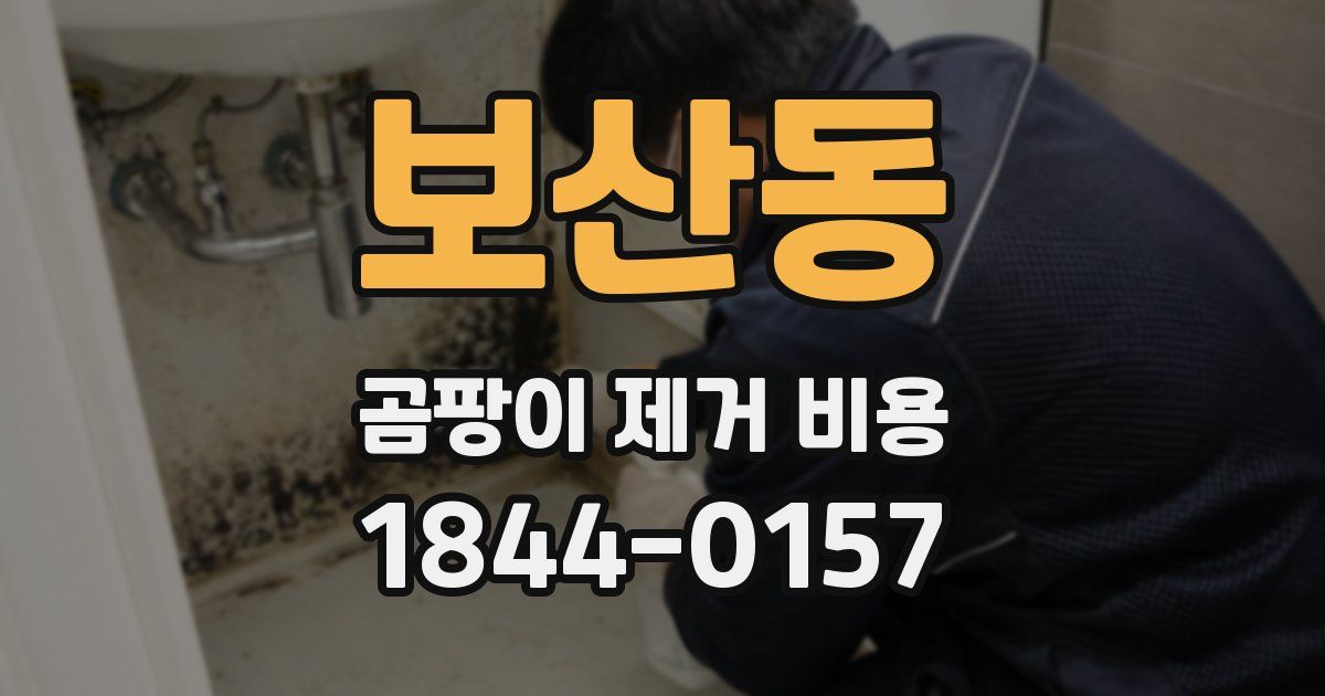 보산동 곰팡이 제거 비용