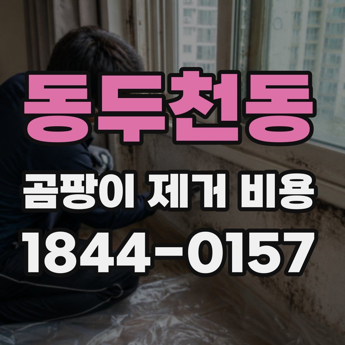 동두천동 곰팡이 제거 비용 상담 전 확인할 항목