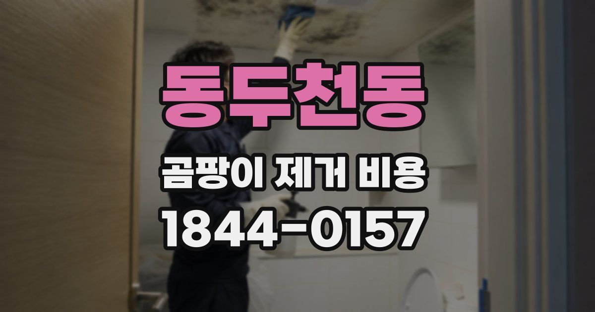 동두천동 곰팡이 제거 비용
