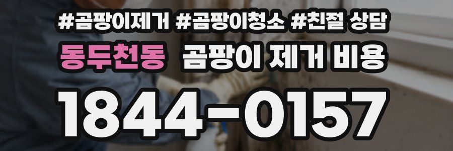 동두천동 곰팡이 제거 비용