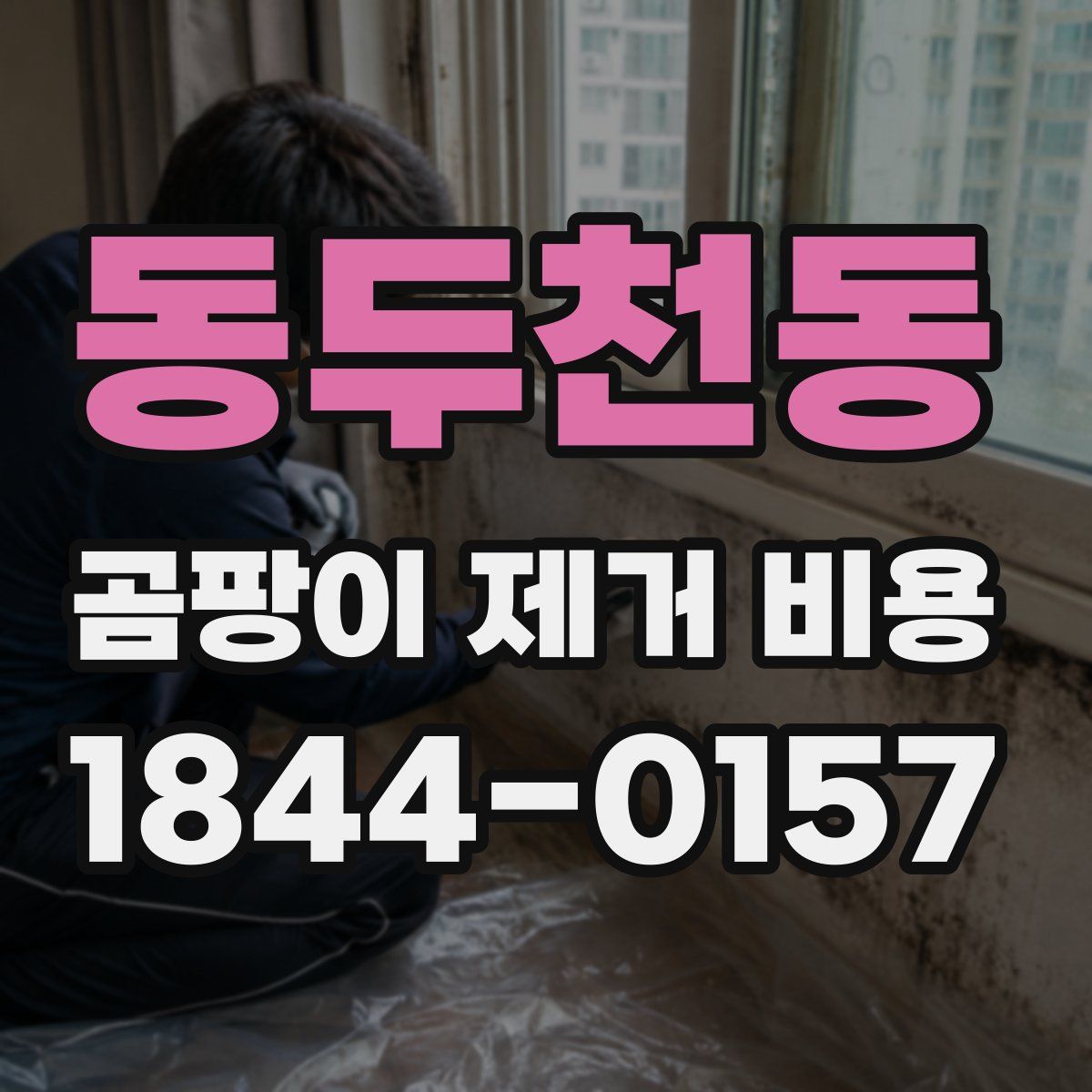 동두천동 곰팡이 제거 비용