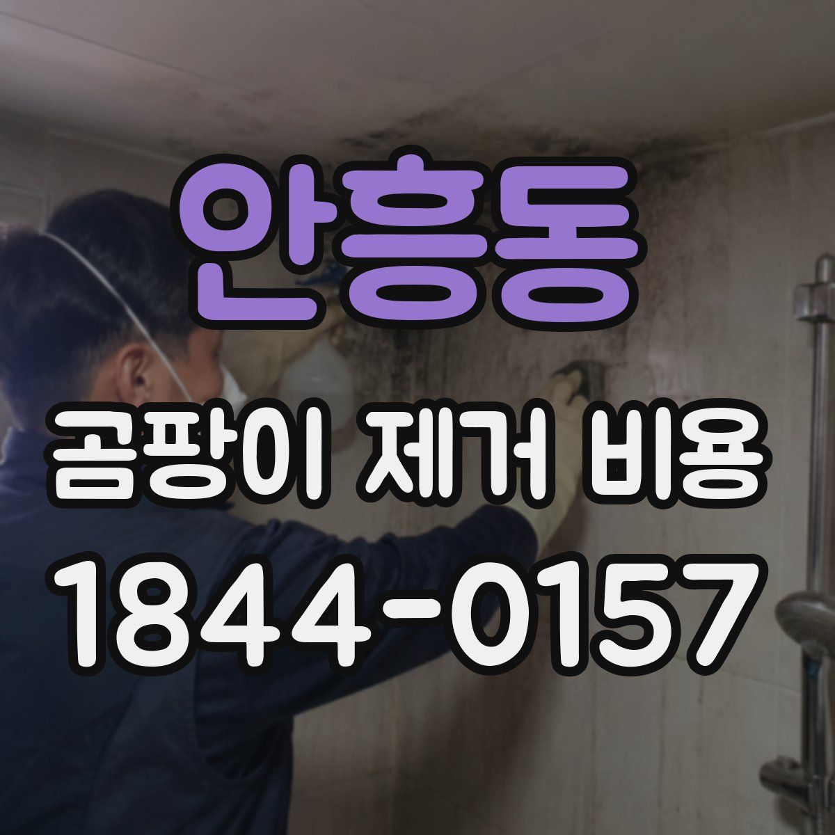 안흥동 곰팡이 제거 비용